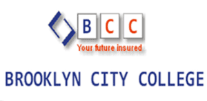 List of Courses Offered at Brooklyn City College