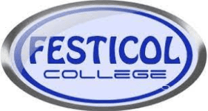 Festicol Online Application 2022/2023 – How to Apply